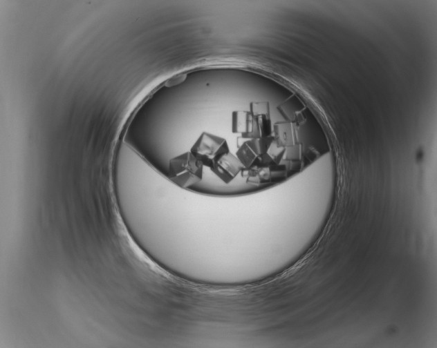 X0000116801484200912181106