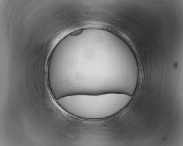 X0000116801487200912181106