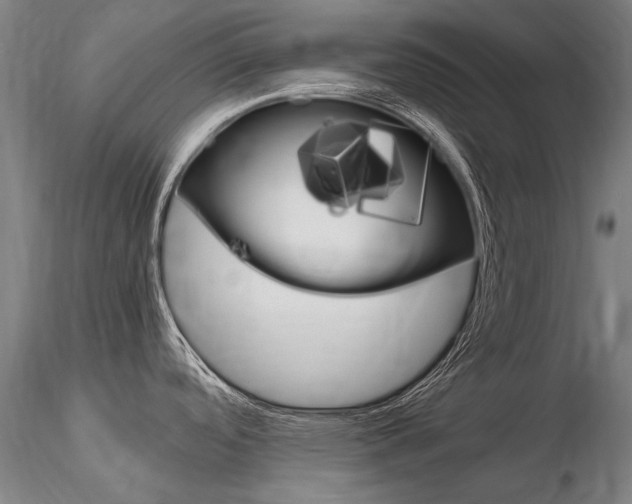 X0000116801488200912181106