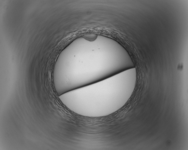X0000116801489200912181105