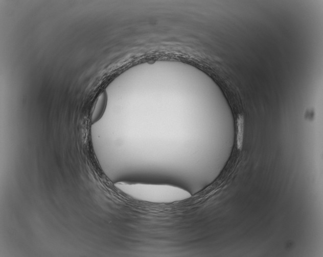 X0000116801491200912181105