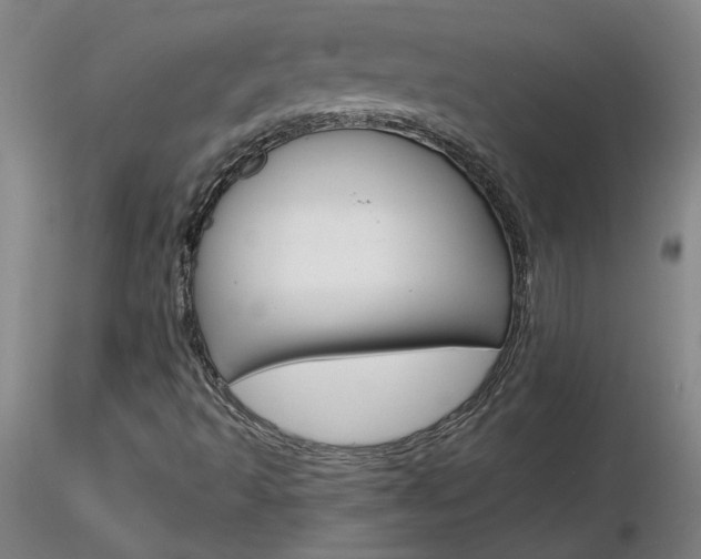 X0000116801493200912181105
