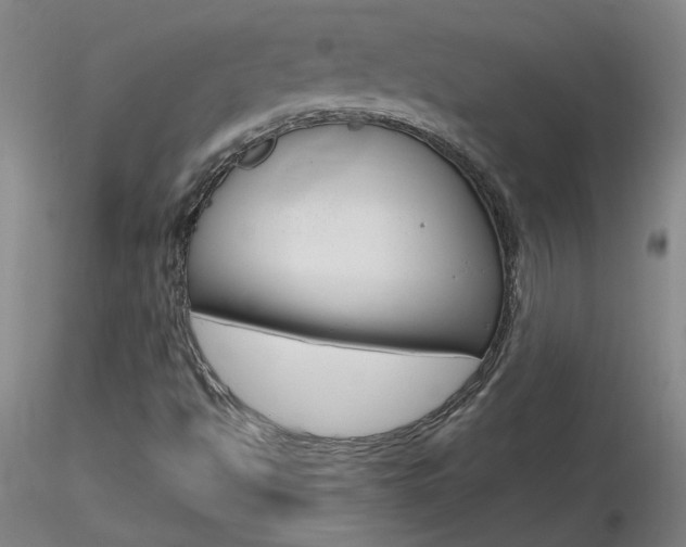 X0000116801494200912181105