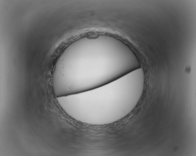 X0000116801495200912181105