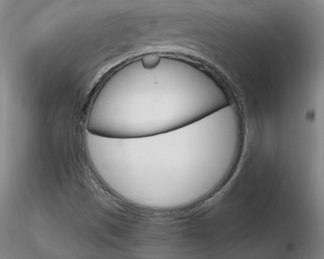 X0000116801497200912181106