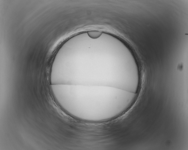X0000116801498200912181106