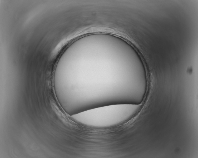 X0000116801499200912181106
