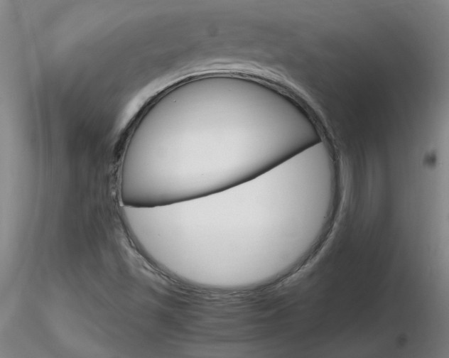 X0000116801501200912181106