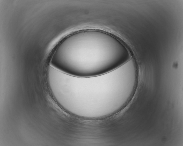X0000116801502200912181106