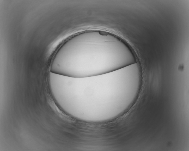 X0000116801503200912181106