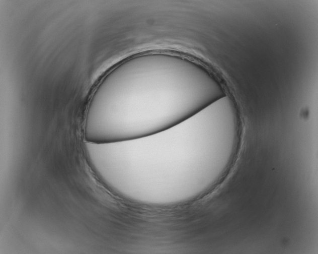 X0000116801505200912181106