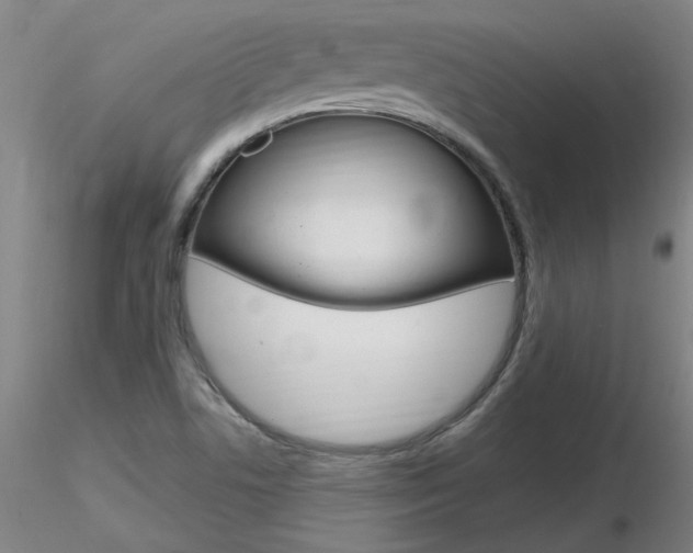 X0000116801506200912181106