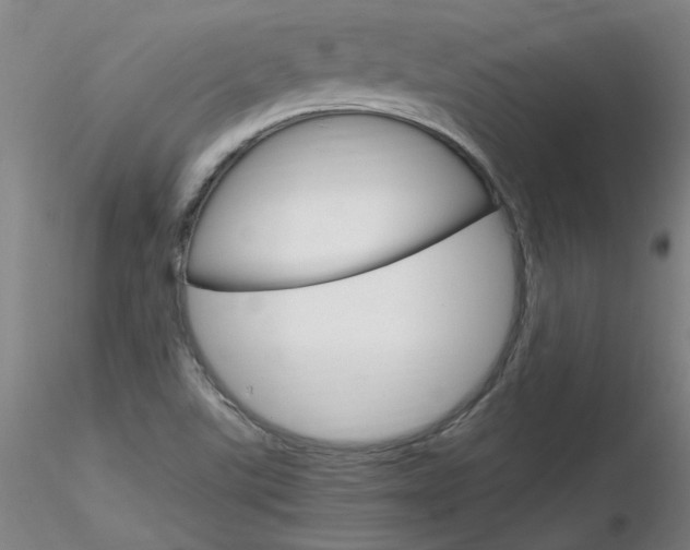 X0000116801507200912181106