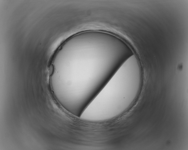 X0000116801509200912181106