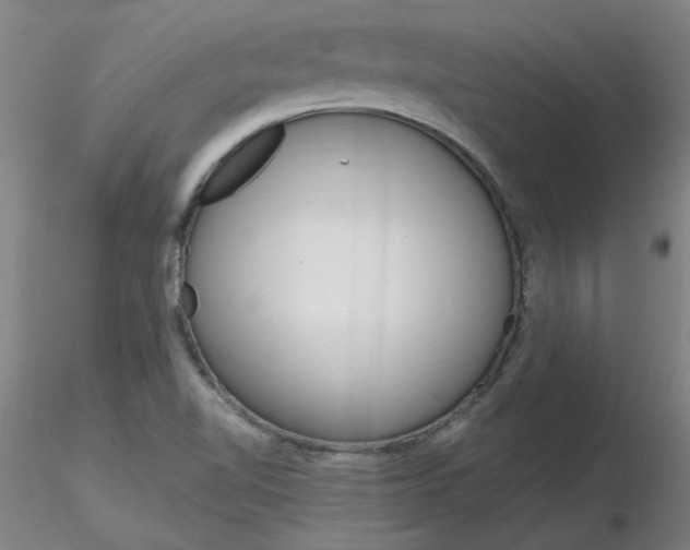X0000116801510200912181106