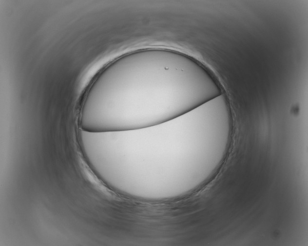X0000116801511200912181106