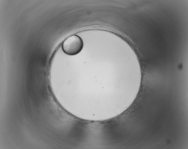 X0000116801514200912181106