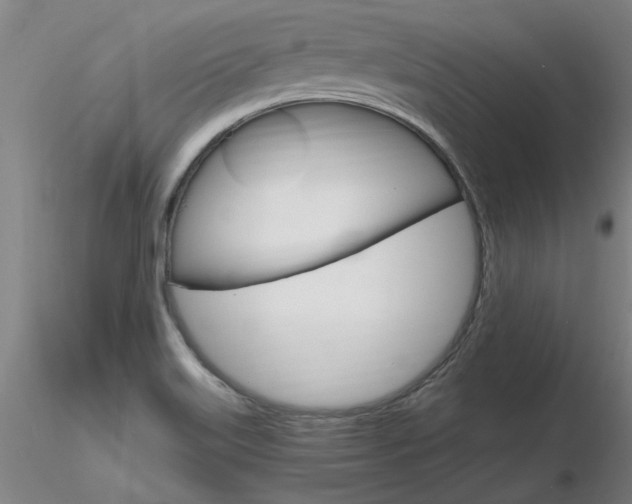 X0000116801515200912181106