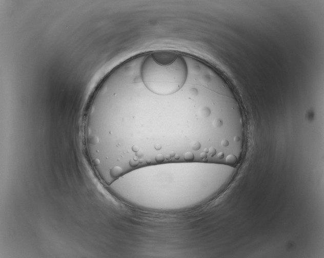 X0000116801517200912181106
