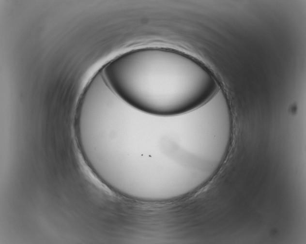X0000116801518200912181106