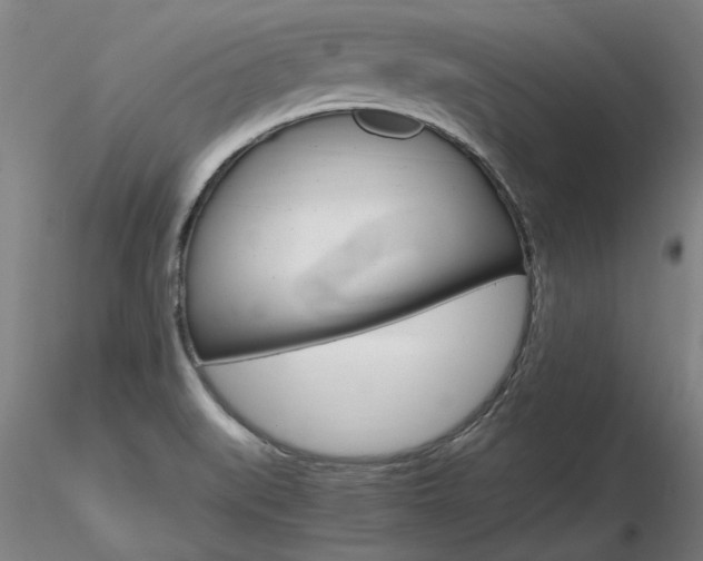 X0000116801519200912181106