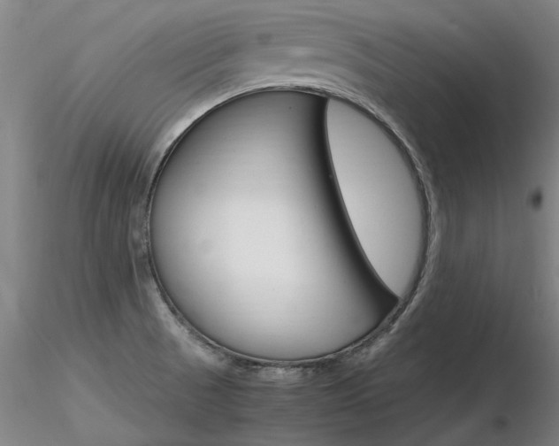 X0000116801521200912181106