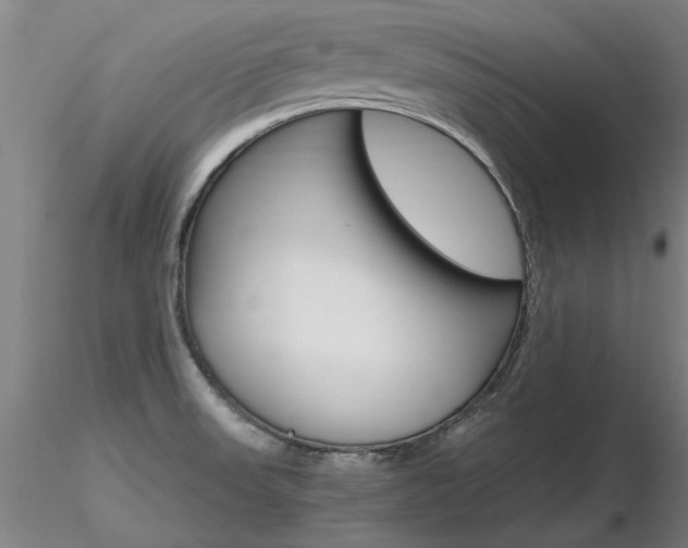 X0000116801523200912181106