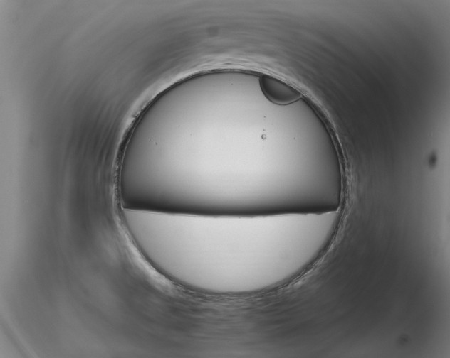 X0000116801525200912181106