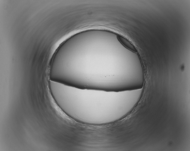 X0000116801526200912181106