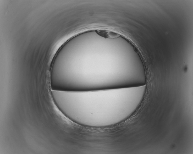 X0000116801527200912181106