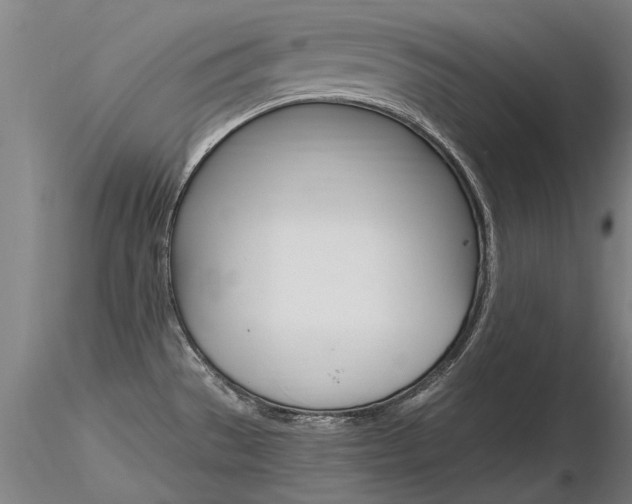 X0000116801529200912181106