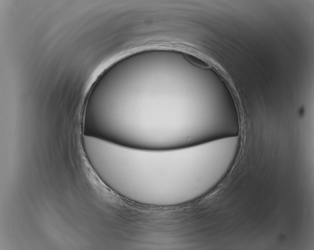 X0000116801530200912181106