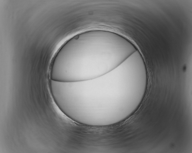 X0000116801531200912181106