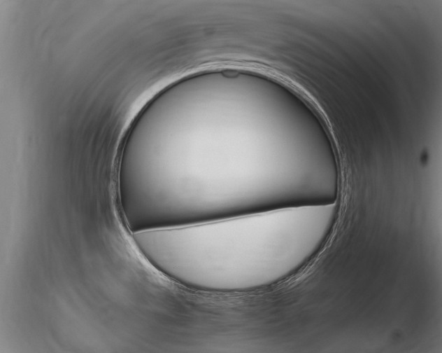 X0000116801533200912181106