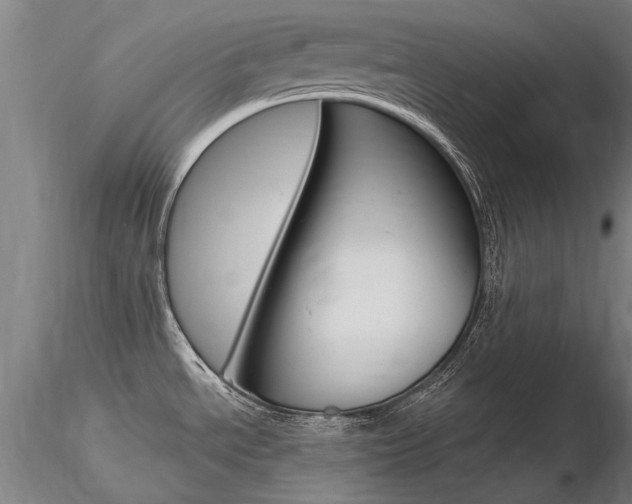 X0000116801534200912181106