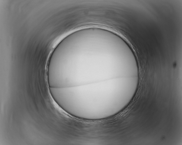 X0000116801535200912181106