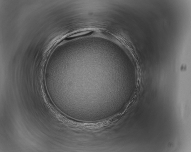 X0000116800001200912181328