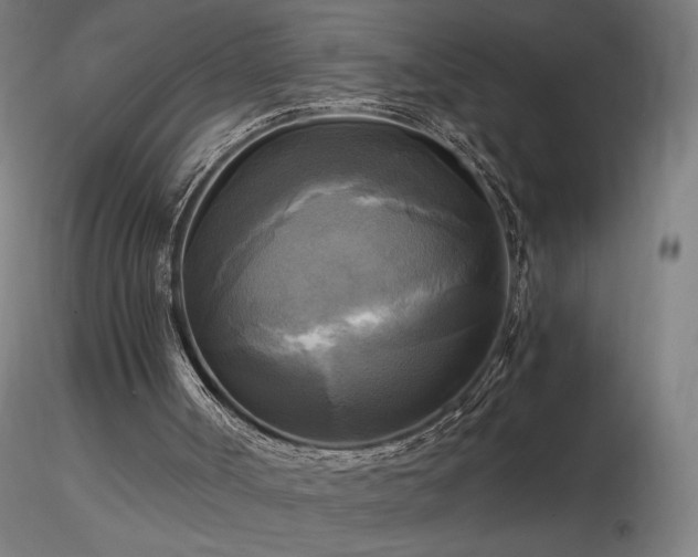 X0000116800002200912181328