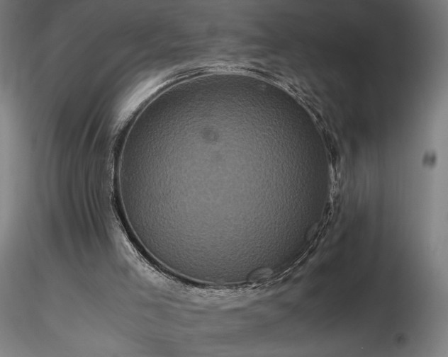 X0000116800005200912181328