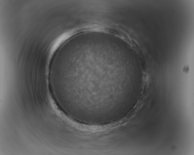 X0000116800006200912181328