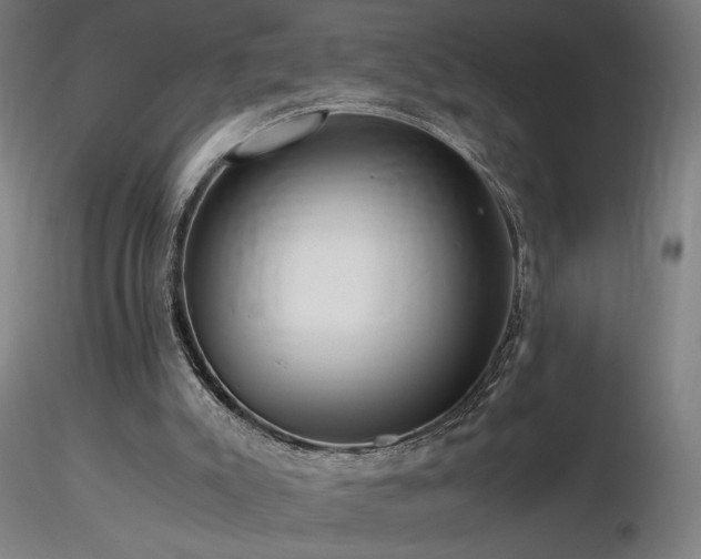 X0000116800007200912181328