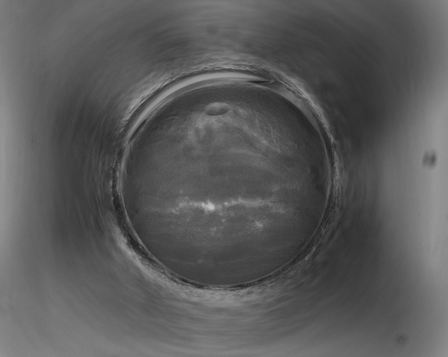 X0000116800010200912181328