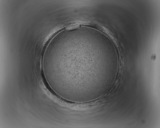 X0000116800011200912181328