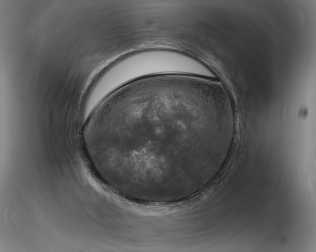 X0000116800012200912181328