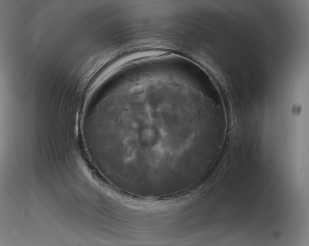 X0000116800014200912181328