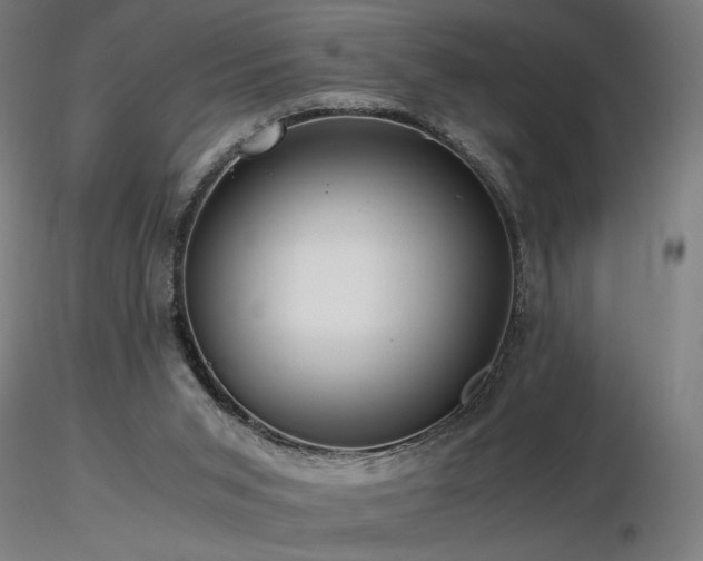 X0000116800015200912181328