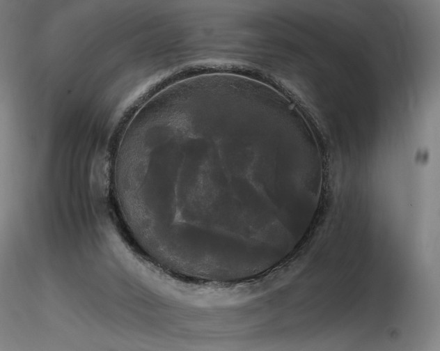 X0000116800016200912181328