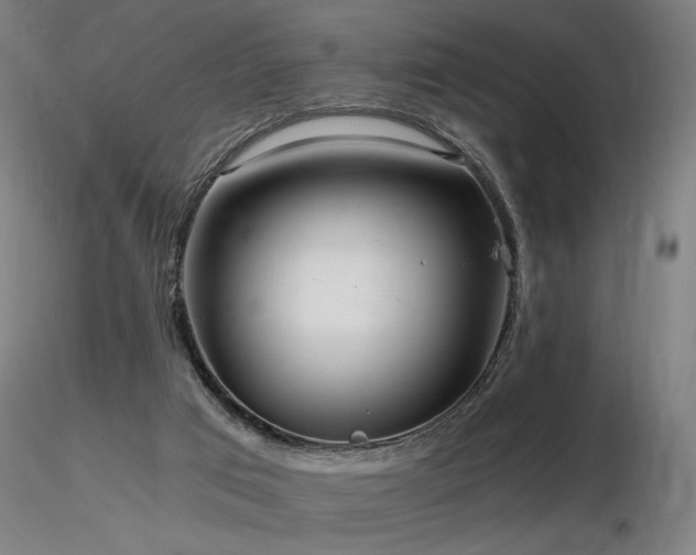 X0000116800017200912181328