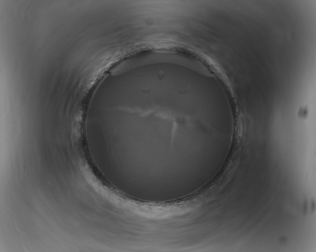 X0000116800018200912181328