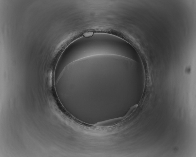 X0000116800019200912181328